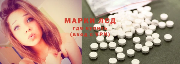 мдпв Михайлов
