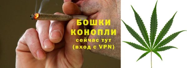 мдпв Михайлов