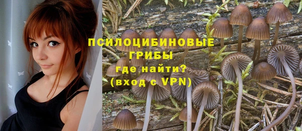 мдпв Михайлов
