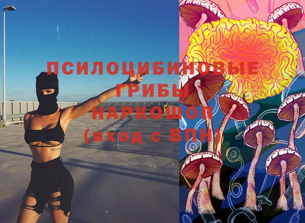 ПСИЛОЦИБИНОВЫЕ ГРИБЫ Михайловка