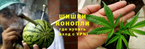 мдпв Михайлов