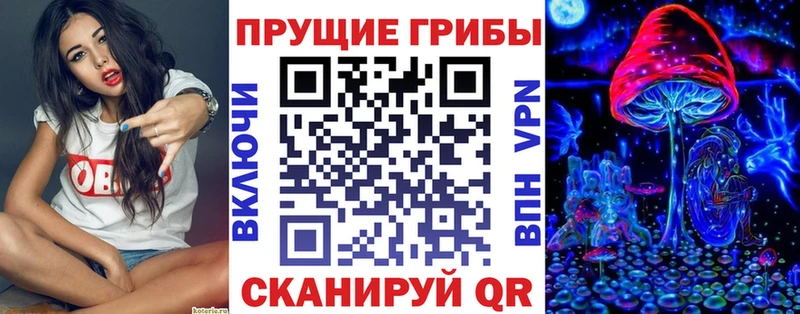 закладка  гидра сайт  Псилоцибиновые грибы Psilocybe  Шали 