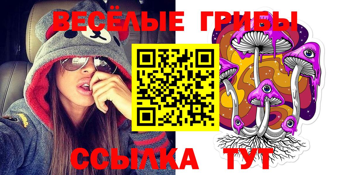 Шали  Галлюциногенные грибы Psilocybine cubensis  продажа наркотиков  Вход с VPN 